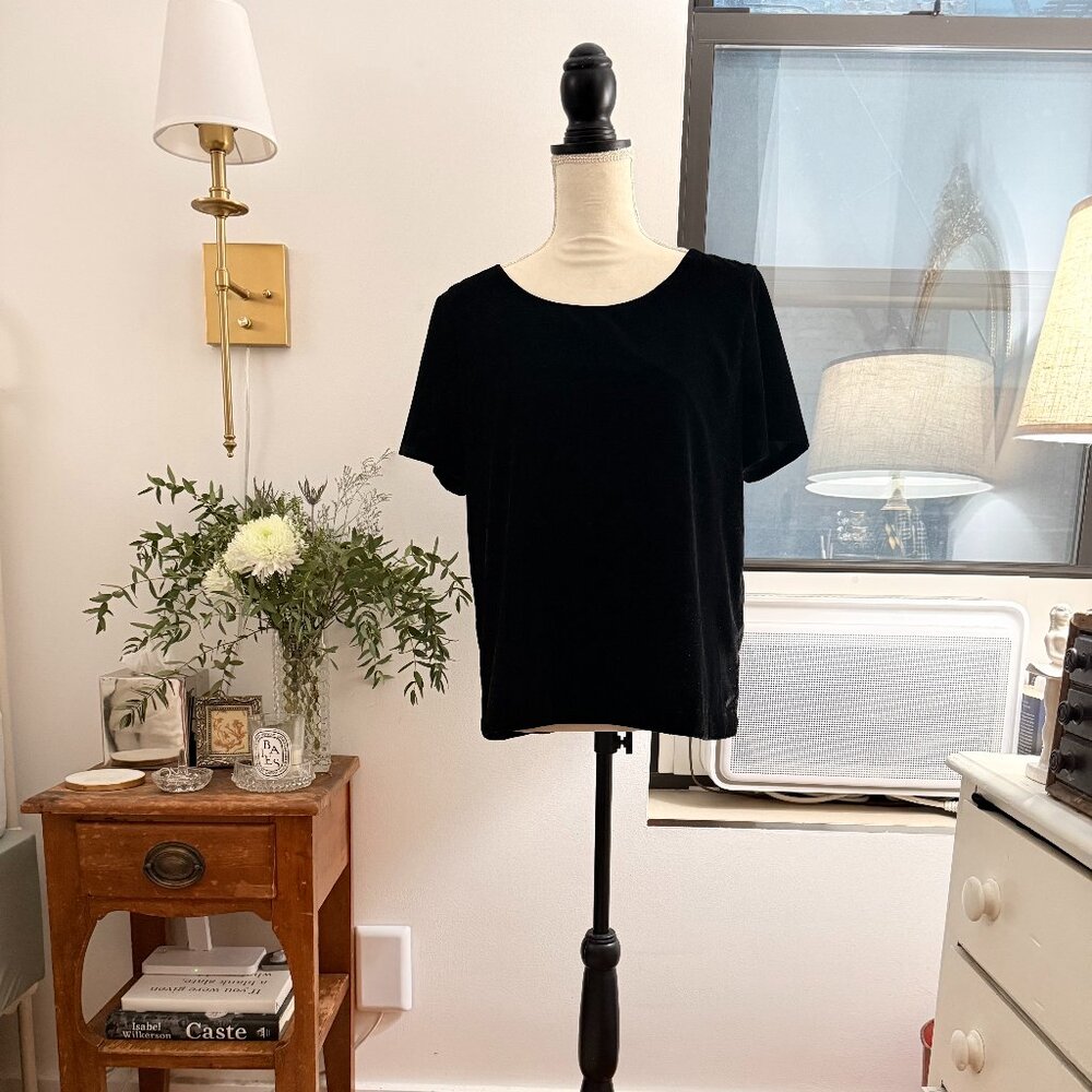 Velvet J Crew Top